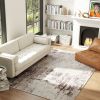 Machine Washable Area Rug 5x7, Non-Slip Modern Abstract Floor Carpet for Living Room, Bedroom, Dining Room, Mixed-Brown