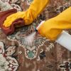 Area Rug, 9 x 12 ft Large Washable Rug, Non-Slip and Tear-Resistant Soft Carpet, Pet & Child Friendly Vintage Area Rugs, Indoor Mat for Bedroom, Livi